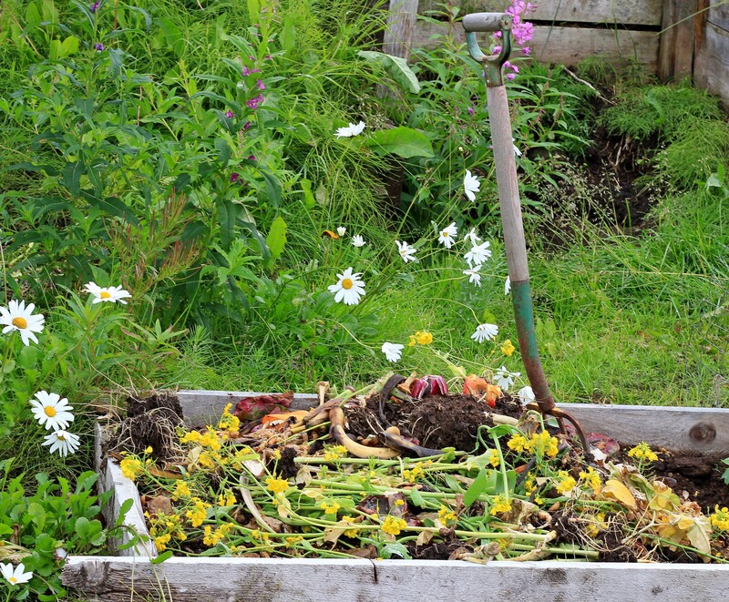 waste collection home